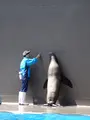 鶴岡市立加茂水族館（クラゲドリーム館）の写真_689855