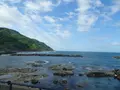 鶴岡市立加茂水族館（クラゲドリーム館）の写真_689856