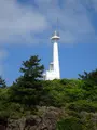 鶴岡市立加茂水族館（クラゲドリーム館）の写真_689862