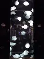 鶴岡市立加茂水族館（クラゲドリーム館）の写真_689864