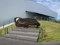 鶴岡市立加茂水族館（クラゲドリーム館）の写真_689866