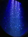 鶴岡市立加茂水族館（クラゲドリーム館）の写真_689868