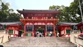 八坂神社の写真_689882