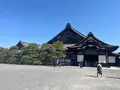 二条城の写真_690485