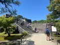 二条城の写真_690486
