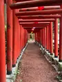 石浦神社の写真_691037