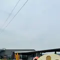 道の駅 くるくるなるとの写真_691080