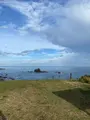 ホロンバイルの写真_692445