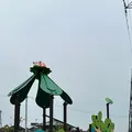 ヤドン公園の写真_692898