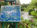 北川村「モネの庭」マルモッタンの写真_695341