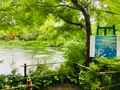 北川村「モネの庭」マルモッタンの写真_695343