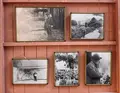北川村「モネの庭」マルモッタンの写真_695945