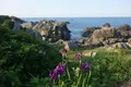 種差海岸天然芝生地の写真_699265