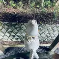 白兎神社の写真_699709