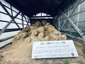 白兎神社の写真_699715