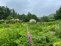 風のガーデンの写真_700210