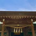 安房神社の写真_701739