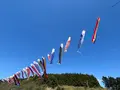 サラキ岬の写真_704234