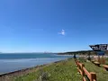 サラキ岬の写真_704236