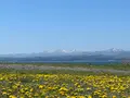 サラキ岬の写真_704238