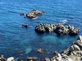 立待岬の写真_704246