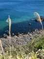 立待岬の写真_704247
