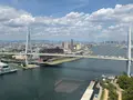 天保山大観覧車の写真_706538