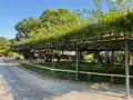 平等院鳳凰堂の写真_707242