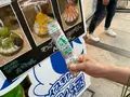 北極のアイスキャンデーの写真_707661