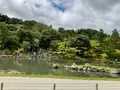 天龍寺の写真_708518
