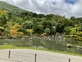 天龍寺の写真_708519