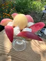 やまなし内藤農園／PESCA-SHOPの写真_709425