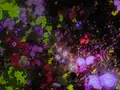 チームラボプラネッツ TOKYO (teamLab Planets TOKYO) DMMの写真_713871