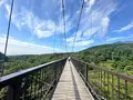 つつじ吊橋の写真_714827