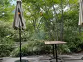 TWELVE GARDENS BAR & GRILLの写真_715084