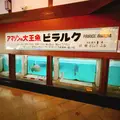 別府地獄めぐりの写真_716222