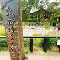 別府地獄めぐりの写真_716228