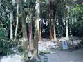 青島神社の写真_717821