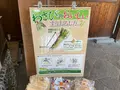 大王わさび農場の写真_720534