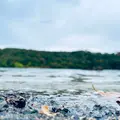 潟沼の写真_722350