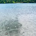 潟沼の写真_722352