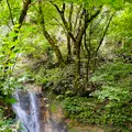 鬼首かんけつ泉の写真_722371