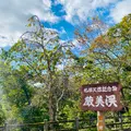 厳美渓の写真_722377
