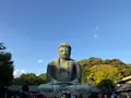 鎌倉大仏（高徳院）の写真_724536