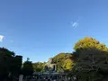 鎌倉大仏（高徳院）の写真_724537
