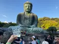 鎌倉大仏（高徳院）の写真_724538