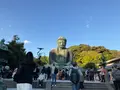 鎌倉大仏（高徳院）の写真_724539