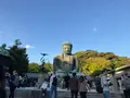 鎌倉大仏（高徳院）の写真_724540