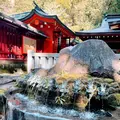 箱根神社の写真_726242
