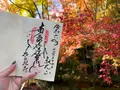 常照寺の写真_728622